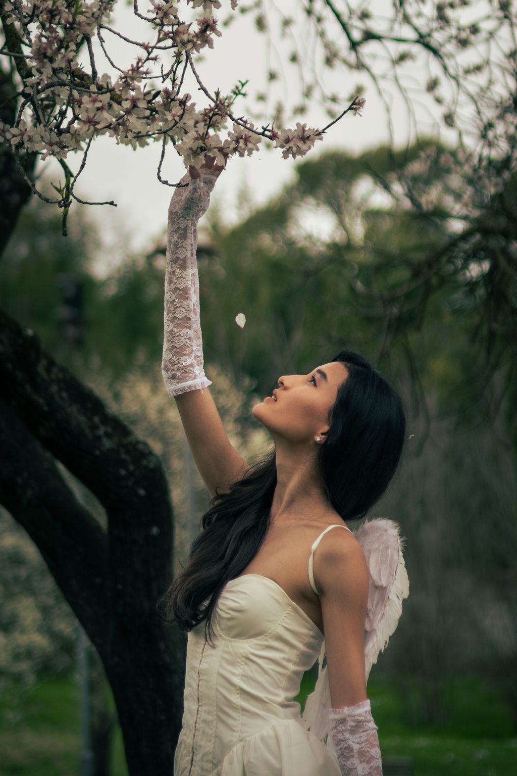 A woman in a lace-trimmed cream gown with pale pink feathered wings reaches up into a blossoming almond tree branch, seen in profile against a grey sky.
