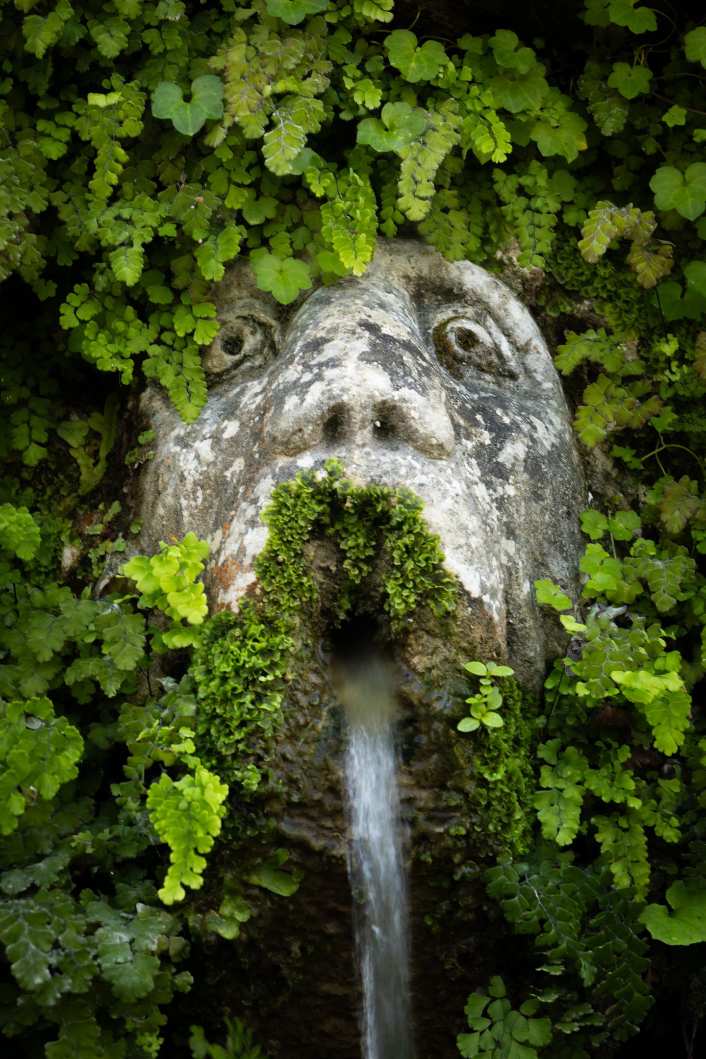 Close-up of a moss- and fern-covered stone grotto mask with water flowing from its open mouth in a garden.